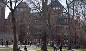Chính quyền Mỹ đe dọa rút chứng nhận học thuật của Đại học Harvard