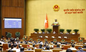 ‘Mở đường’ định giá, mua bán, thế chấp tài sản trí tuệ