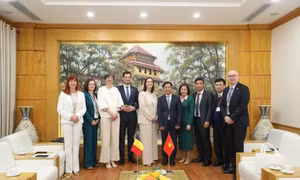 Thúc đẩy hợp tác trong đào tạo, nghiên cứu khoa học giữa Việt Nam - Bỉ