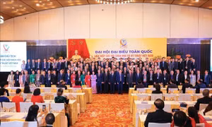 Phát huy vai trò cầu nối giữa trí thức với Đảng, Nhà nước và xã hội