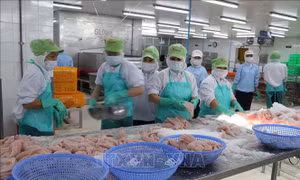Ngành chế biến, chế tạo dẫn dắt tăng trưởng của toàn ngành công nghiệp