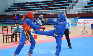 Giải Vô địch Vovinam quốc gia 2025: TP Hồ Chí Minh nhất toàn đoàn