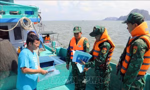 Tăng cường vai trò lãnh đạo của Đảng đối với công tác chống khai thác IUU