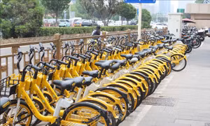 Chuyển mình vì không khí sạch - Bài cuối