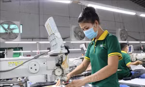 Giảm thuế thu nhập doanh nghiệp: Trợ lực tài chính gắn với yêu cầu hoàn thiện thể chế 