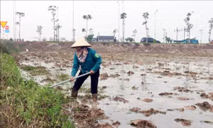 Kết thúc lấy nước sản xuất vụ Đông Xuân: Hoàn thành gần 91% kế hoạch