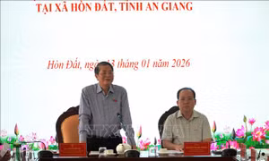 Sẽ bố trí hòm phiếu lưu động phục vụ cử tri ốm đau, già yếu, khuyết tật