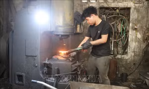 Chuyển đổi số tạo sức bật cho hợp tác xã, làng nghề