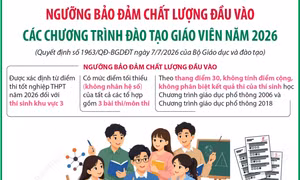 Ngưỡng bảo đảm chất lượng đầu vào các chương trình đào tạo giáo viên năm 2026