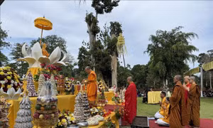 Lễ Phật đản tại Trung tâm Phật giáo cổ đại Indonesia