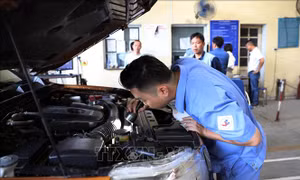 Cấp giấy chứng nhận đăng kiểm điện tử: Ngày đầu phát sinh lỗi hệ thống