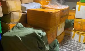 Phát hiện gần 8 tấn sữa, thực phẩm chức năng không rõ nguồn gốc