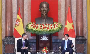 Chủ tịch nước Lương Cường tiếp Thủ tướng Tây Ban Nha