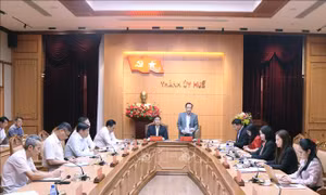 Thông qua dự thảo báo cáo kết quả giám sát Ban Thường vụ Thành ủy Huế