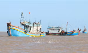 Khắc phục 'thẻ vàng' IUU: Xác minh, xử lý tàu cá mất kết nối thiết bị giám sát 