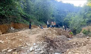 Xử phạt 2 nhóm đào đãi, khai thác khoáng sản trái phép ở rừng phòng hộ Yên Na (Nghệ An)