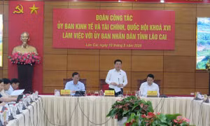 Đoàn công tác Ủy ban Kinh tế và Tài chính của Quốc hội làm việc tại Lào Cai