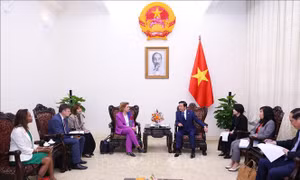 Thúc đẩy hợp tác Việt Nam - EIB trong hỗ trợ tín dụng dự án năng lượng xanh