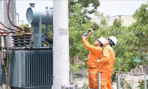 Bố trí gần 1.000 ca trực sẵn sàng xử lý sự cố điện dịp 2/9