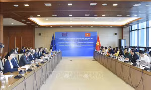 Phiên họp Ủy ban hỗn hợp Việt Nam - EU lần thứ 5