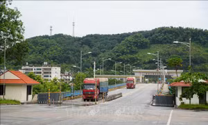 Điểm tin kinh tế Việt Nam nổi bật ngày 28/8/2026