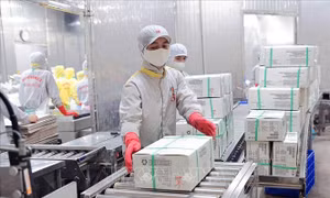 Standard Chartered nâng dự báo GDP năm 2025 của Việt Nam lên 7,5%