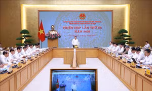 Thứ trưởng Bộ Văn hóa Thể thao và Du lịch tham gia Ban Chỉ đạo về phát triển khoa học công nghệ, đổi mới sáng tạo
