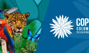 COP16 tìm giải pháp ngăn suy giảm đa dạng sinh học