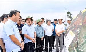 Bí thư Thành ủy Hà Nội thúc tiến độ hai dự án giao thông trọng điểm phía Nam Thủ đô