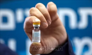 Giải mã lý do một số vaccine có khả năng miễn dịch bền vững hơn