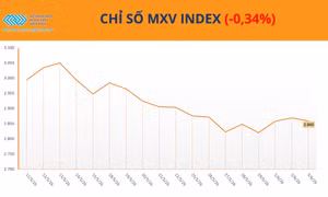 Áp lực bán quay lại, MXV-Index lùi về 2.859 điểm