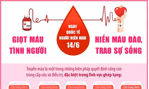 Ngày Quốc tế Người hiến máu 14/6: Giọt máu tình người - Hiến máu đào, trao sự sống