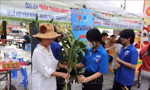 Nét văn hóa đặc sắc trong lòng Lễ hội Nguyên Tiêu 2026