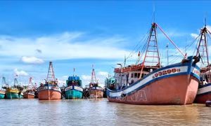 Khắc phục 'thẻ vàng' IUU: Siết từ đội tàu đến truy xuất nguồn gốc