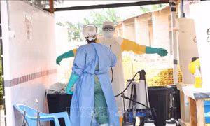 Virus Ebola lan sang tỉnh thứ 6 của CHDC Congo, số ca tử vong tăng lên trên 2.180 người