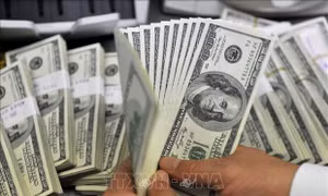 Nợ toàn cầu đạt mức cao kỷ lục