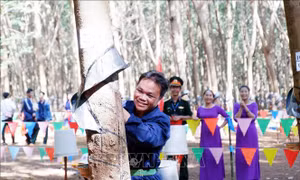Vùng cao biên giới vượt thử thách trở thành điểm sáng kinh tế