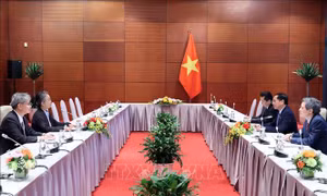 Đề nghị LHQ, ESCAP hỗ trợ Việt Nam thực hiện các Mục tiêu phát triển bền vững