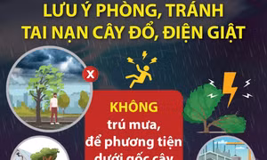 Những lưu ý phòng, tránh tai nạn cây đổ, điện giật