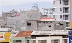 Ninh Thuận: Quy định rõ khu vực không được chăn nuôi, nuôi chim yến