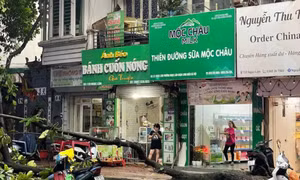 Mưa to kèm gió mạnh làm đổ cây ở Ngọc Lâm, Long Biên