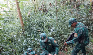 Người lính quân hàm xanh bản lĩnh ‘thép’ trước tội phạm ma túy