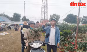 Nô nức người mua, kẻ bán tại chợ xuân Liễu Đề (Nam Định)