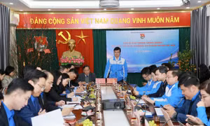 Kiến tạo môi trường và hỗ trợ thanh niên Thủ đô trong bối cảnh chuyển đổi số