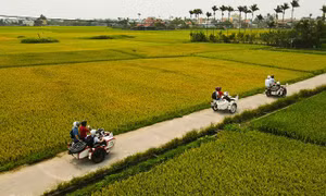 Du lịch ‘xanh’ để phát triển bền vững - Bài cuối: Giải pháp chuyển đổi toàn diện