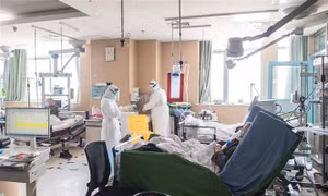 HMPV, H5N1 và Norovirus: Đâu là dịch bệnh nguy hiểm nhất hiện nay?