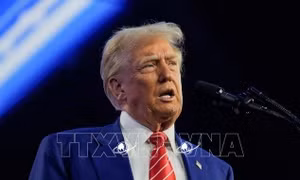 Tổng thống Trump tiết lộ nhân vật có thể trở thành tân Cố vấn An ninh quốc gia Mỹ