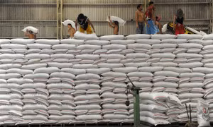 Philippines ban bố tình trạng khẩn cấp về an ninh lương thực