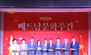 Tuần lễ Văn hóa Việt Nam năm 2025 ở thành phố Pyeongteck, Hàn Quốc