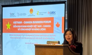 Tăng cường kết nối sản xuât và năng lượng Việt Nam-Canada